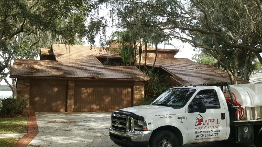 shingle roof cleaned in riverview florida