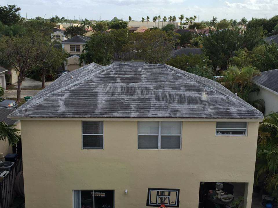 This Customer searched for "Roof Cleaning Near Me" !